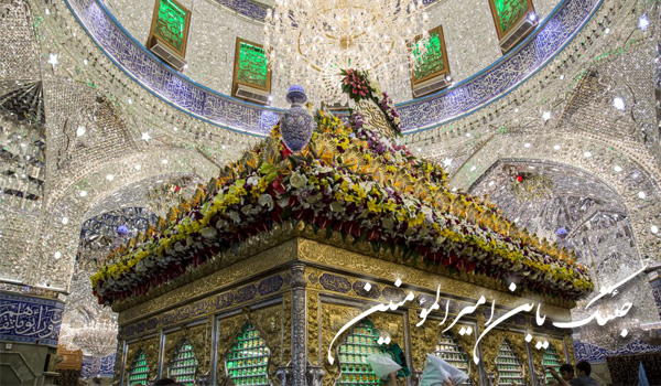 استاد حسینی شاهرودی، امام زمان