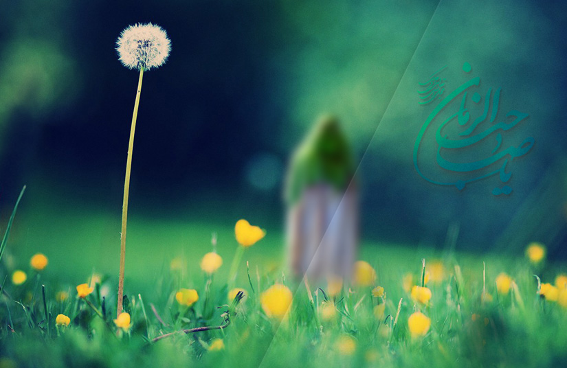 استاد حسینی شاهرودی
