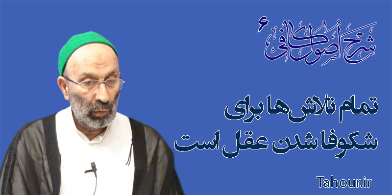 حسینی شاهرودی، طهور، شرح اصول کافی