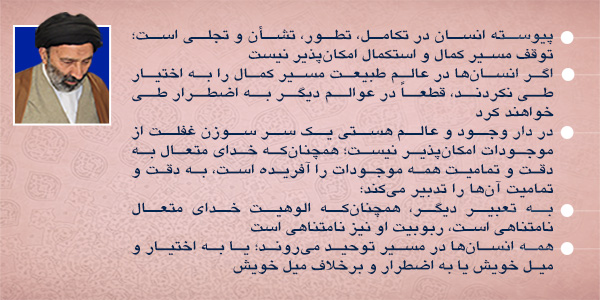 حسینی شاهرودی، طهور، شرح اصول کافی
