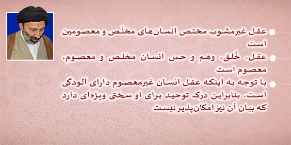 حسینی شاهرودی، طهور، شرح اصول کافی
