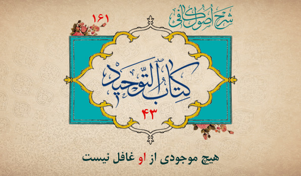 حسینی شاهرودی، طهور، شرح اصول کافی