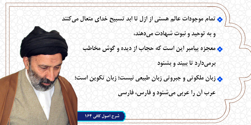 حسینی شاهرودی، طهور، شرح اصول کافی