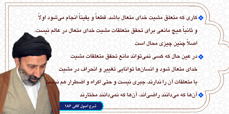 حسینی شاهرودی، طهور، شرح اصول کافی