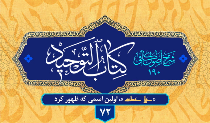 حسینی شاهرودی، طهور، شرح اصول کافی