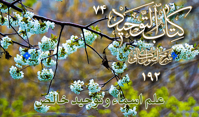 حسینی شاهرودی، طهور، شرح اصول کافی
