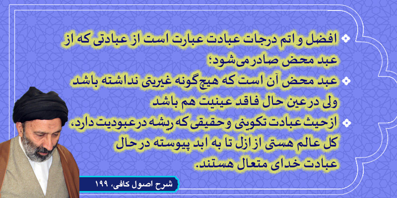 حسینی شاهرودی، طهور، شرح اصول کافی