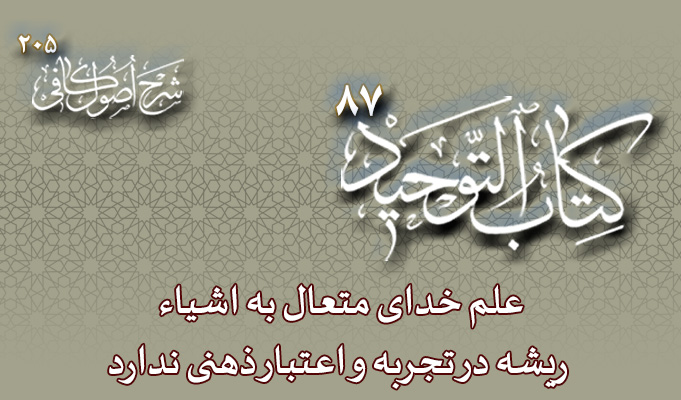 حسینی شاهرودی، طهور، شرح اصول کافی
