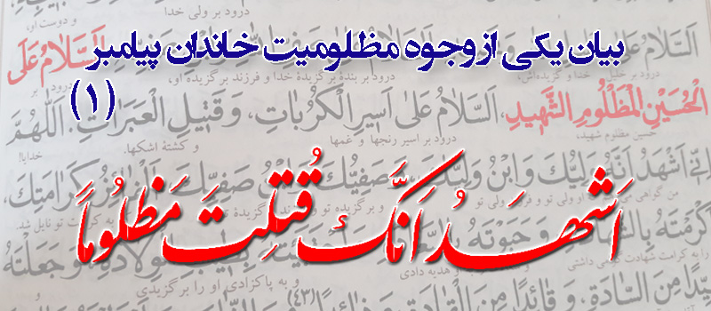 حسینی شاهرودی، طهور، شرح اصول کافی