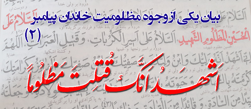 حسینی شاهرودی، طهور، شرح اصول کافی