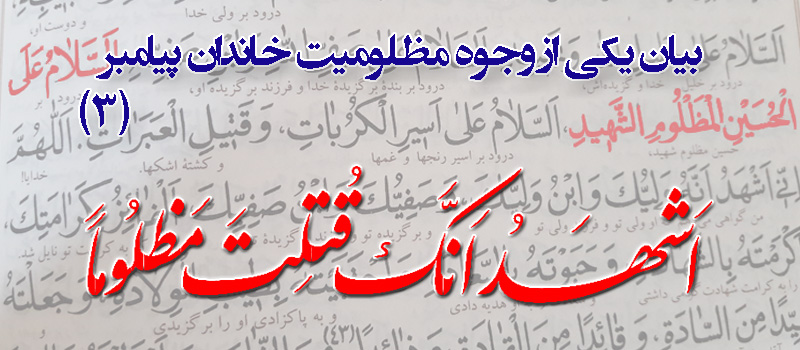 حسینی شاهرودی، طهور، شرح اصول کافی