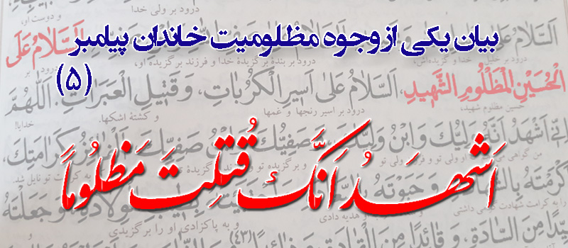 حسینی شاهرودی، طهور، شرح اصول کافی