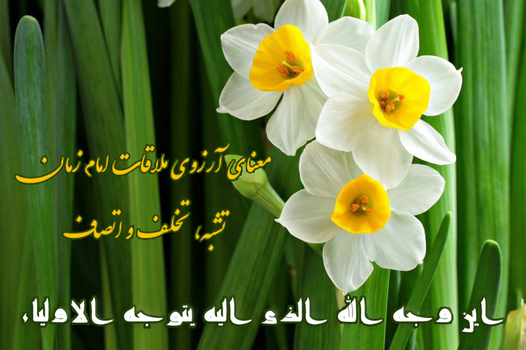 حسینی شاهرودی، طهور