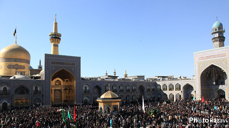 استاد دکتر سیدمرتضی حسینی شاهرودی